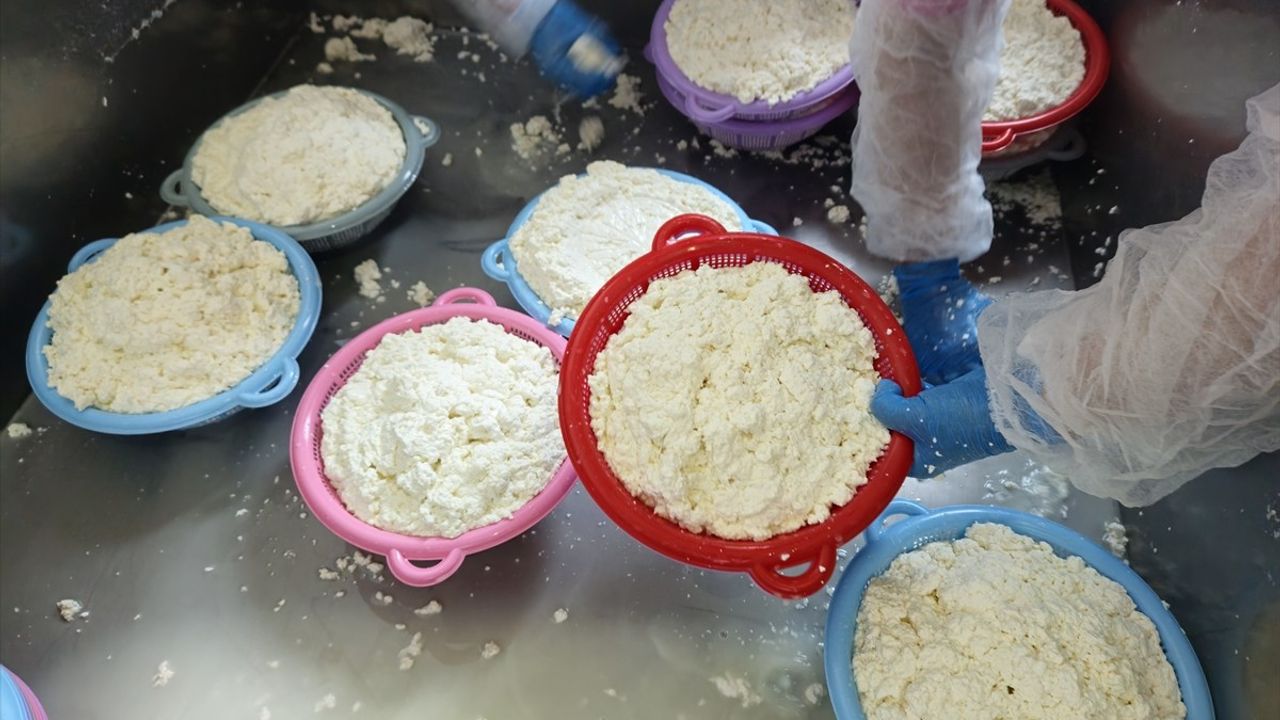 Kadın İstihdamını Artırmayı Amaçlayan Butik Mandıra Açıldı