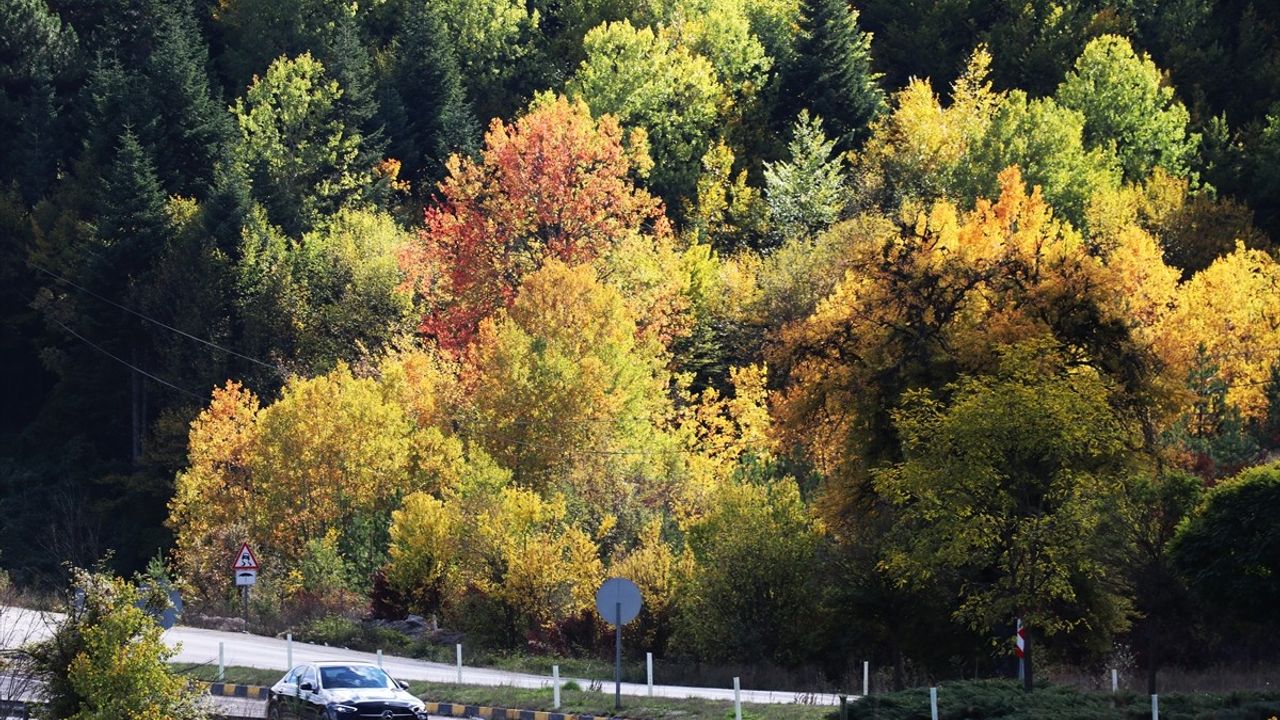 Karabük'te Sonbahar Renklerinin Görsel Şöleni