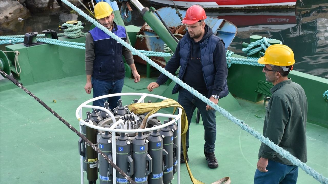 Karadeniz'de Balık Stok Araştırmaları Devam Ediyor