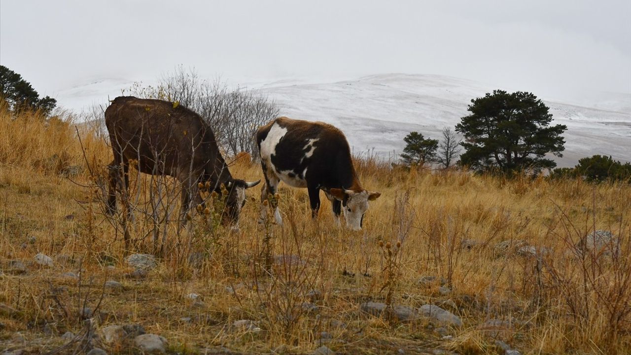 Kars'ın Sarıkamış İlçesinde Kar Yağışı