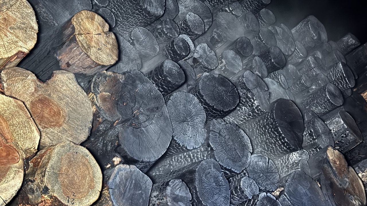 Kastamonu'da Tomruk Yüklü Tırda Yangın Çıktı