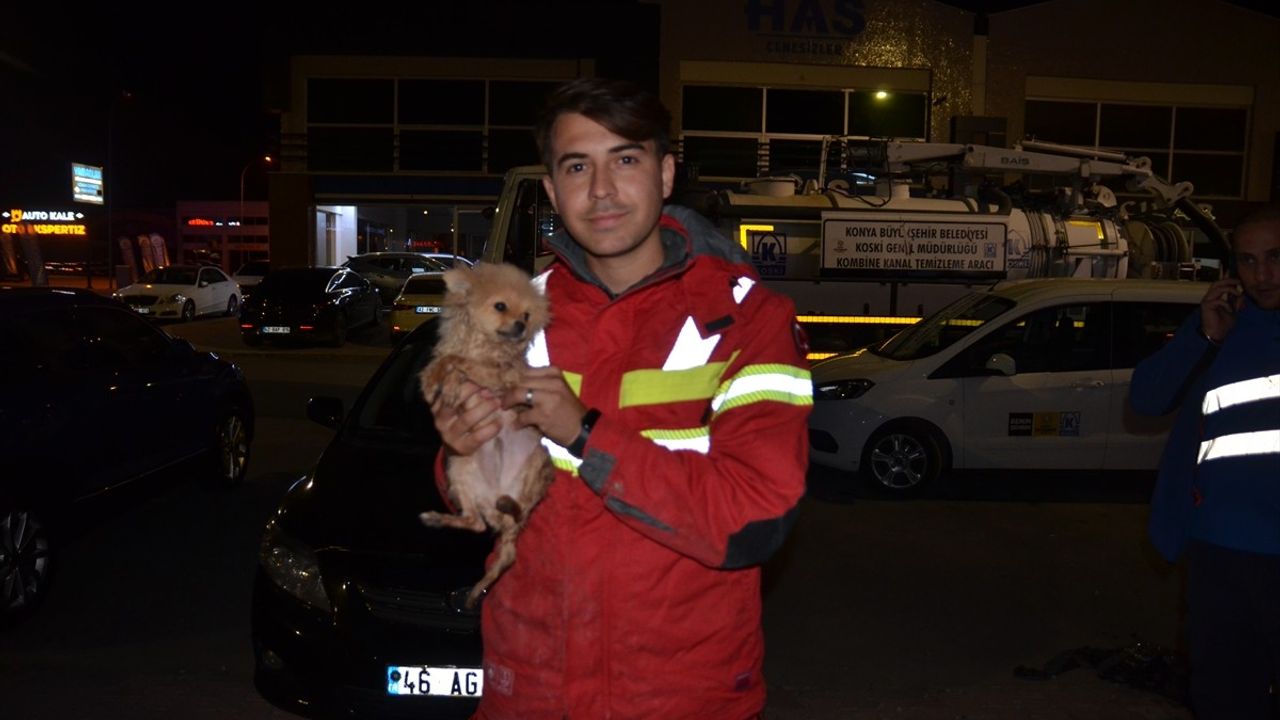 Konya'da İtfaiye Ekipleri Köpek Yavrusunu Kurtardı