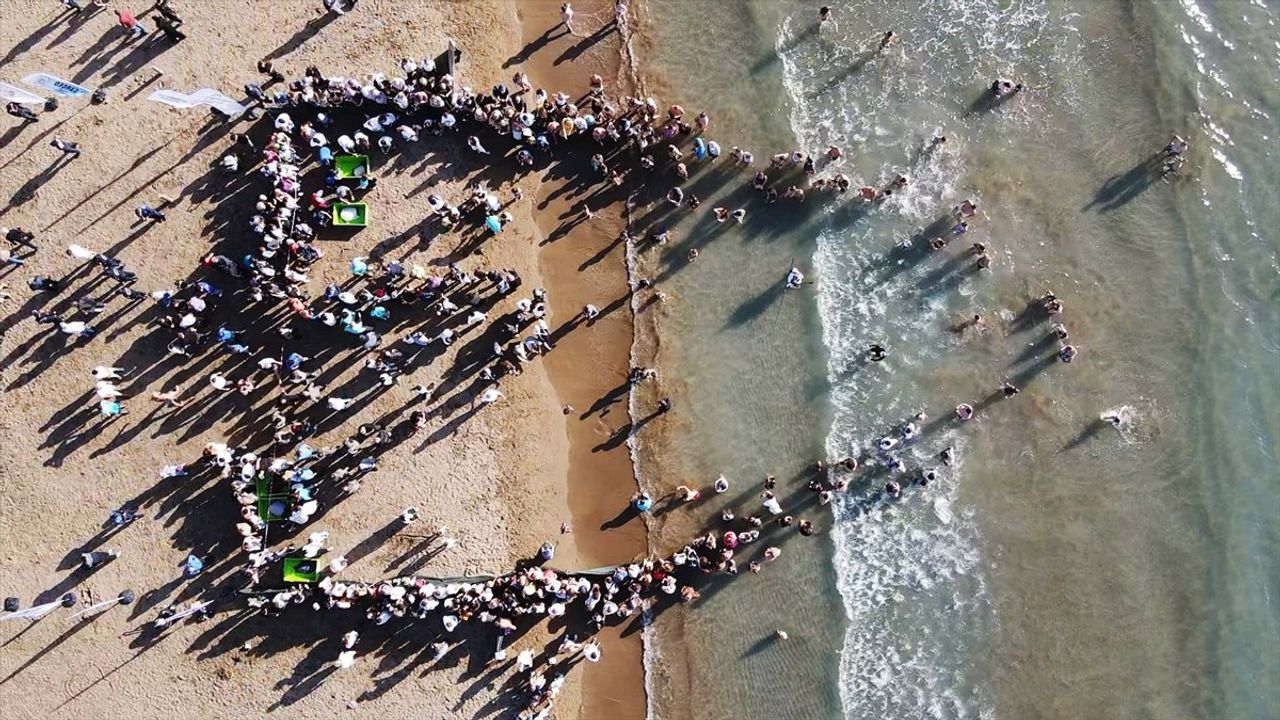 Muğla'da Deniz Kaplumbağalarının Doğaya Dönüşü