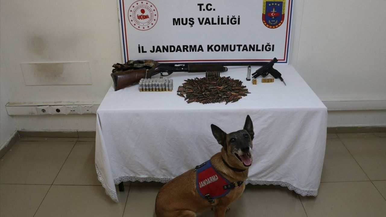 Muş'ta Tezek Altında Saklanan Silahlar Ele Geçirildi