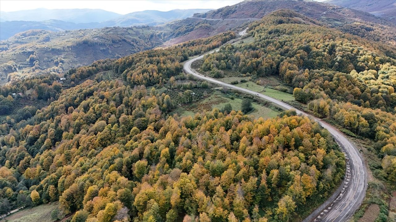 Ordu'nun Korgan Yaylası'nda Sonbahar Renkleri