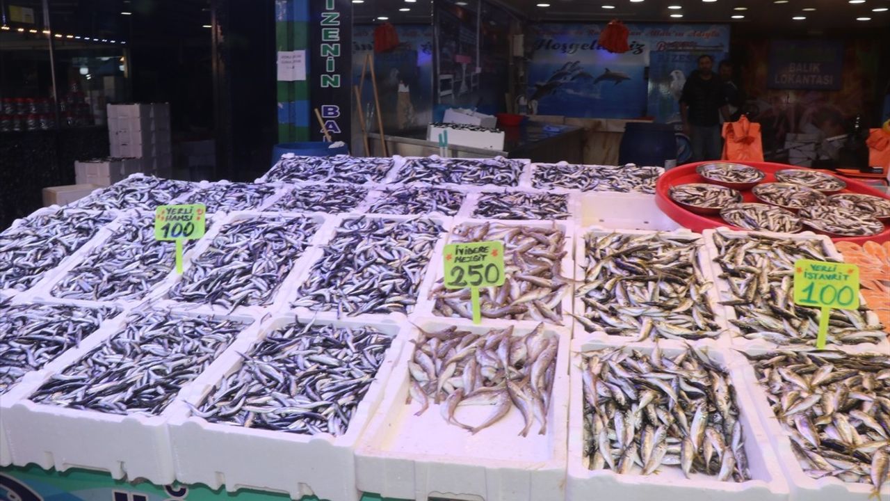 Rize'de Hamsi Bolluğu ve Uygun Fiyatlar