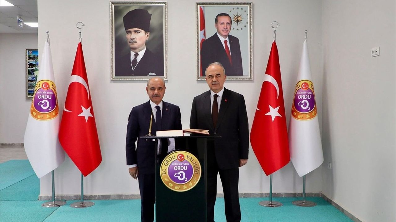 Sahipsiz Hayvanlar İçin Ortak Çözüm Arayışları