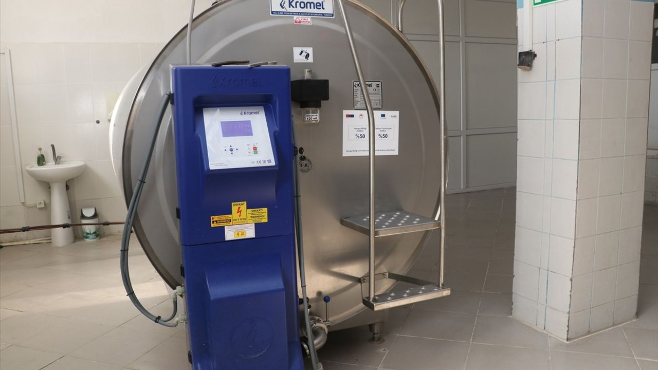 Sakarya'daki Tarımsal Proje ile Süt Üretimi Artıyor