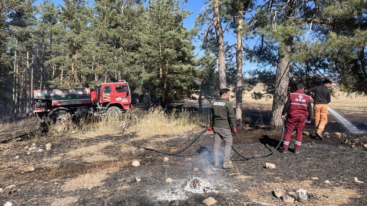 Sarıkamış'ta Orman Yangını: 1 Hektar Zarar Gördü