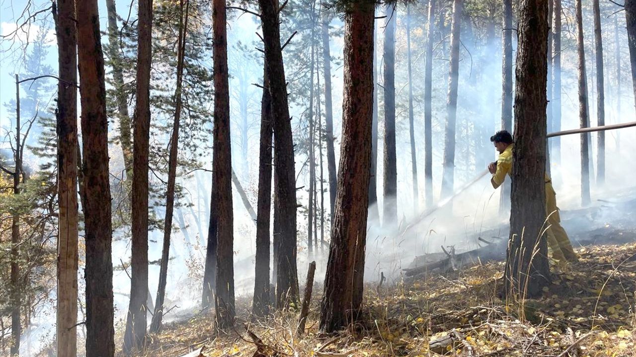 Sarıkamış'taki Orman Yangını 1,5 Hektar Alanı Kül Etti