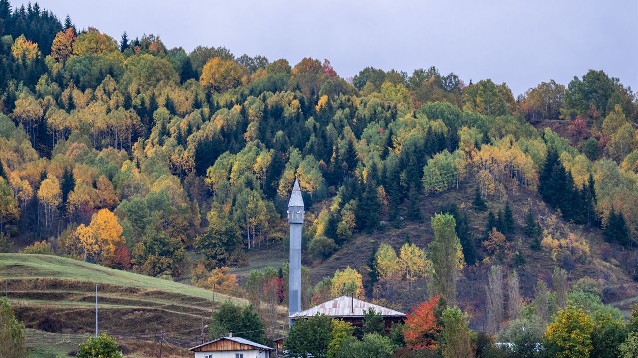 Şavşat'ın Sonbahar Güzellikleri