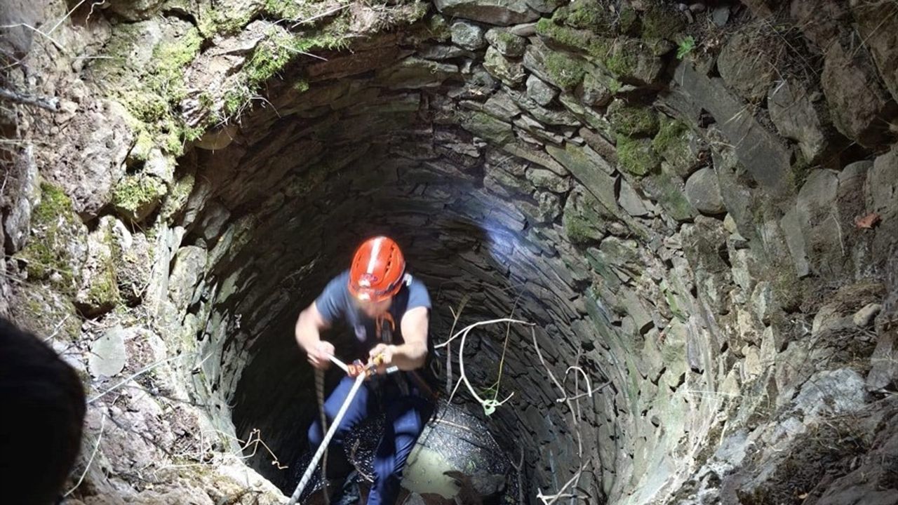 Siirt'te Su Kuyusuna Düşen İnek Kurtarıldı