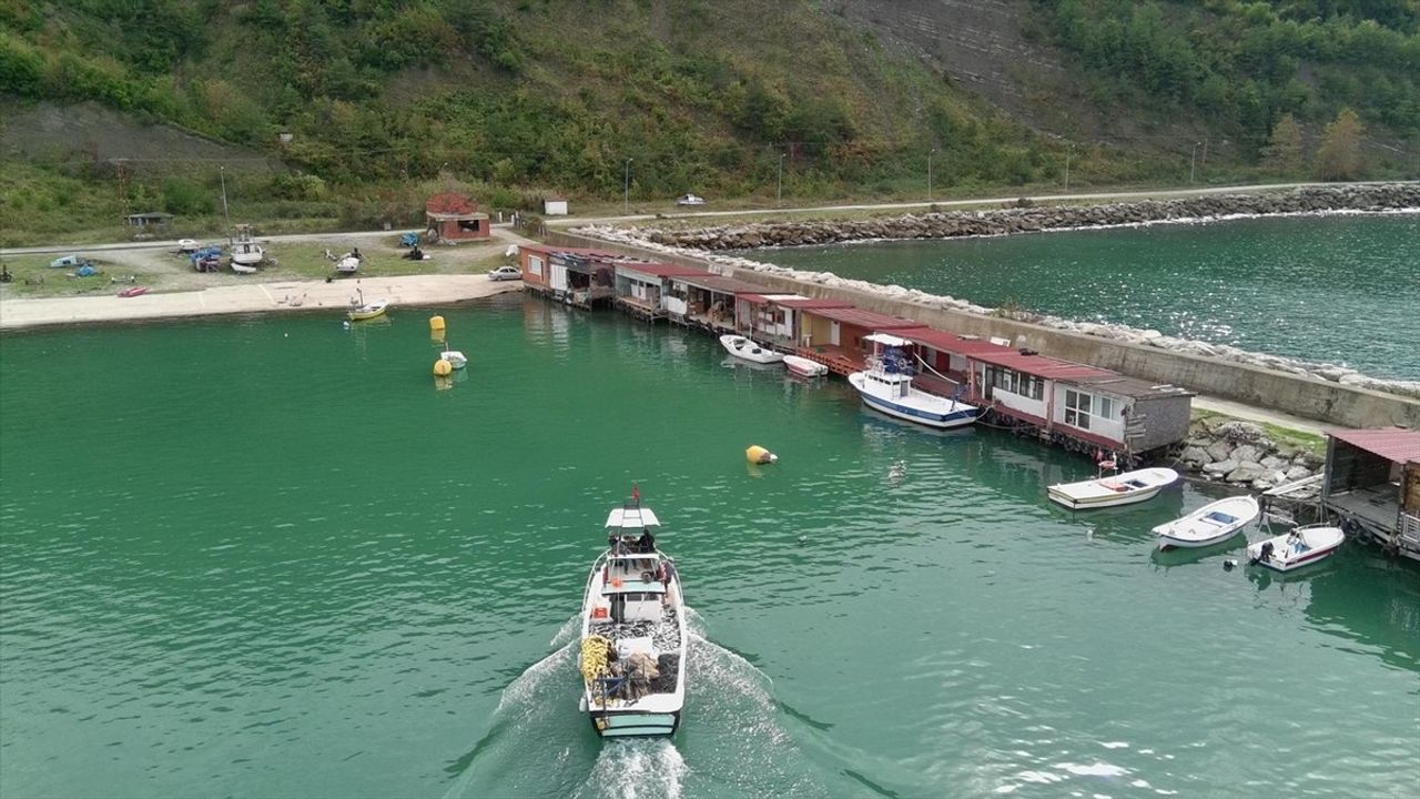 Sinop'ta Balıkçı Bereketli Palamut Avladı