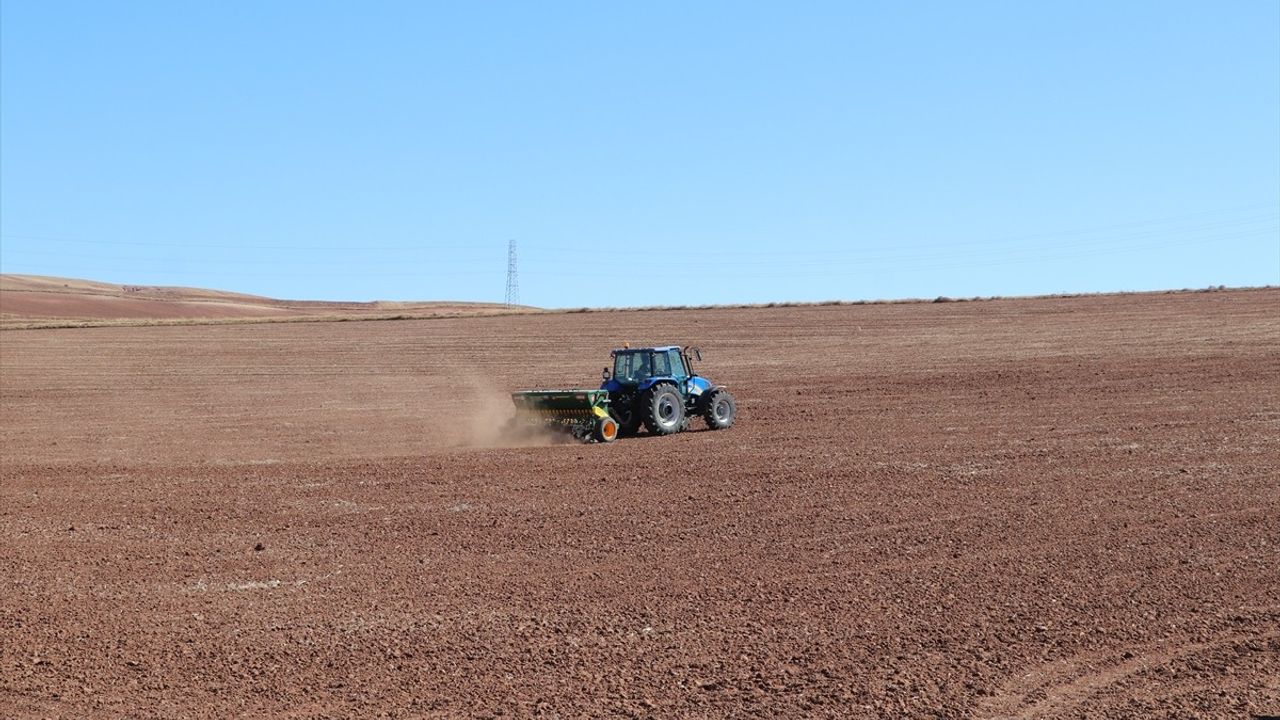 Sivas'ta Yerli Buğday ve Arpa Çeşitleri İçin Deneme Ekimi Başlatıldı