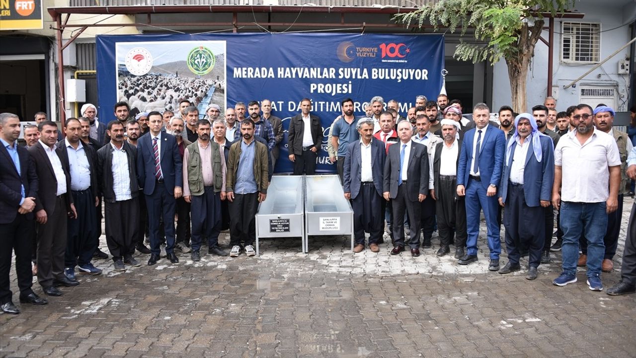 Siverek'te Hayvan Yetiştiricilerine Sıvat Desteği