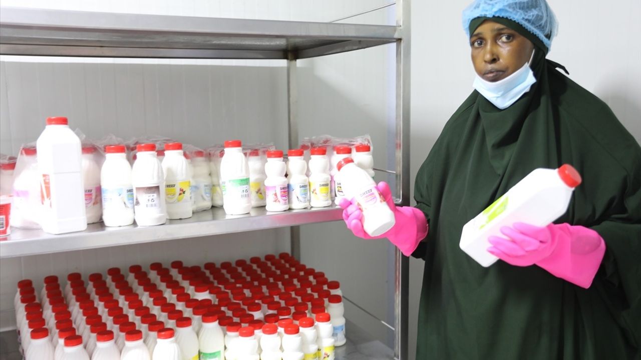 Somalili Kadınlar Birlikte Güçleniyor
