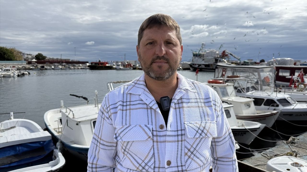 Tekirdağ'da İstavrit Bolluğu Balıkçıları Sevindiriyor