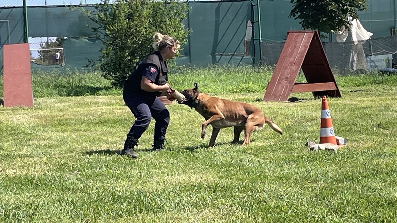 Trabzon'da Köpekli Arama Kurtarma Merkezi Faaliyete Geçti