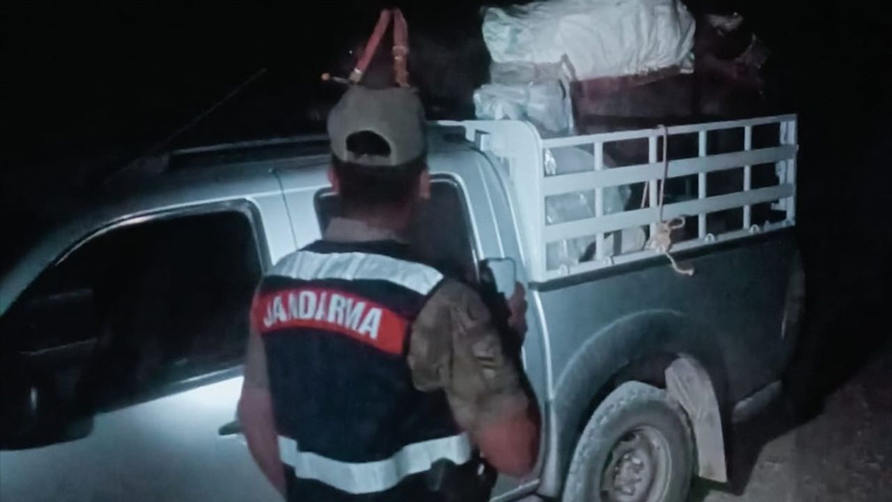 Tunceli'de Endemik Dağ Sarımsağı Toplayana 557 Bin Lira Ceza