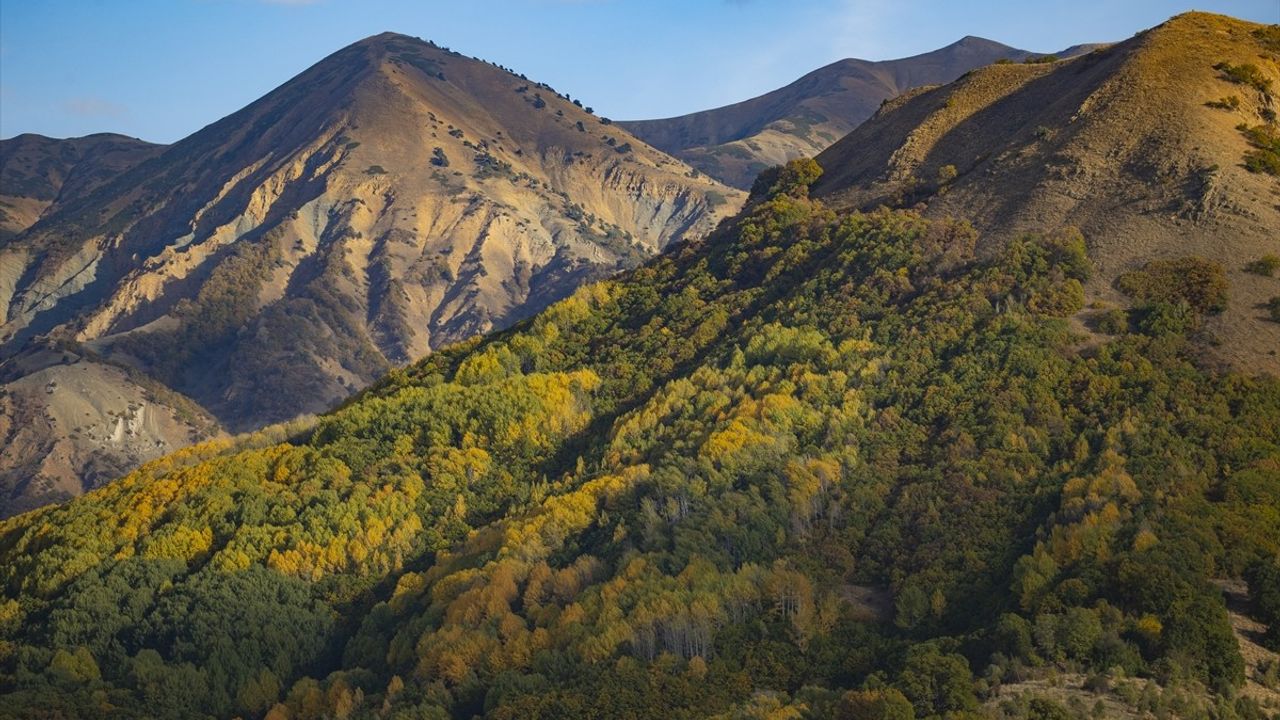 Tunceli'nin Ormanları Sonbahar Renklerine Büründü