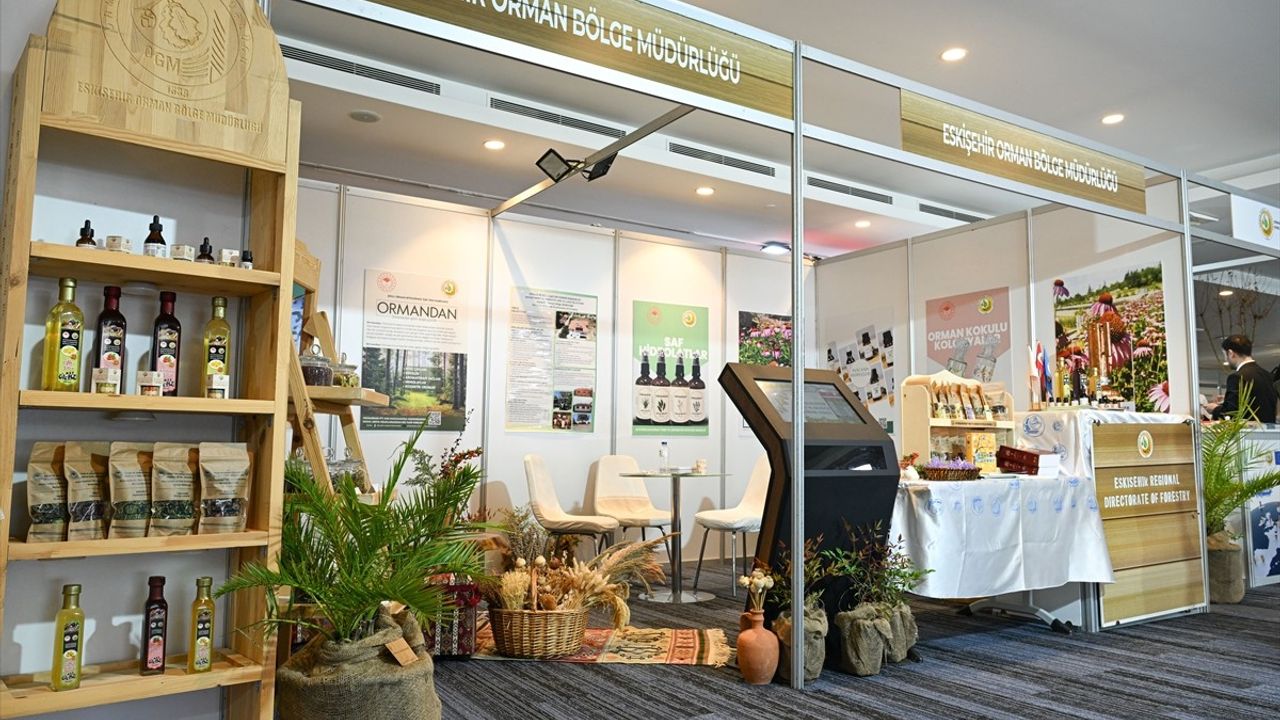 Türkiye'nin Flora Zenginliği Avrupa ile Yarışıyor