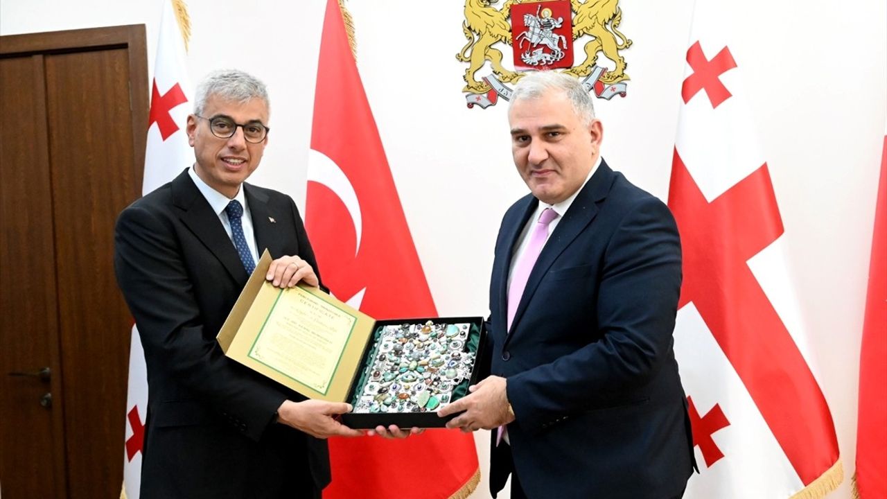 Türkiye ve Gürcistan Sağlık Alanında İşbirliğine Gidiyor