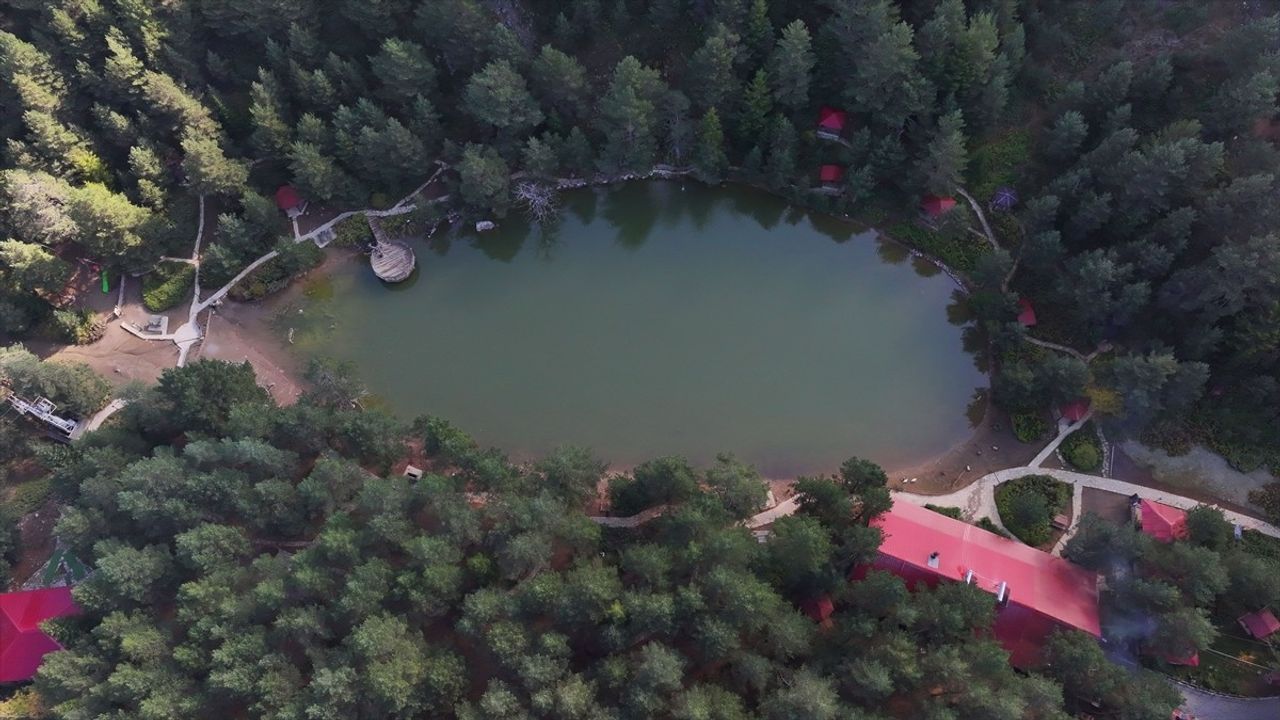 Zigana Dağı'nda Besicilik Sonbahar Mesaisi