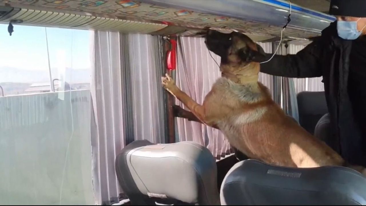 Ağrı'da Uyuşturucu Operasyonu: 8 Kilogram Skunk Ele Ge geçirildi