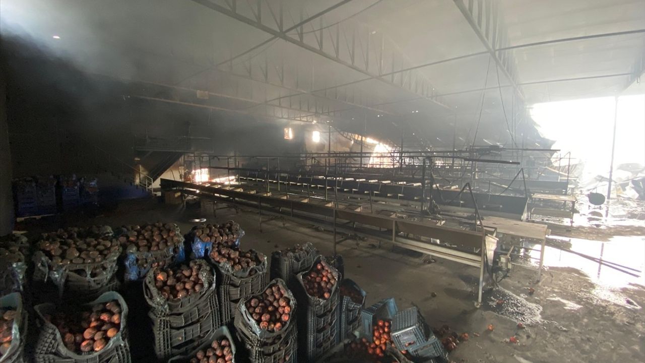Antalya'daki Meyve Sebze Paketleme Tesisinde Yangın