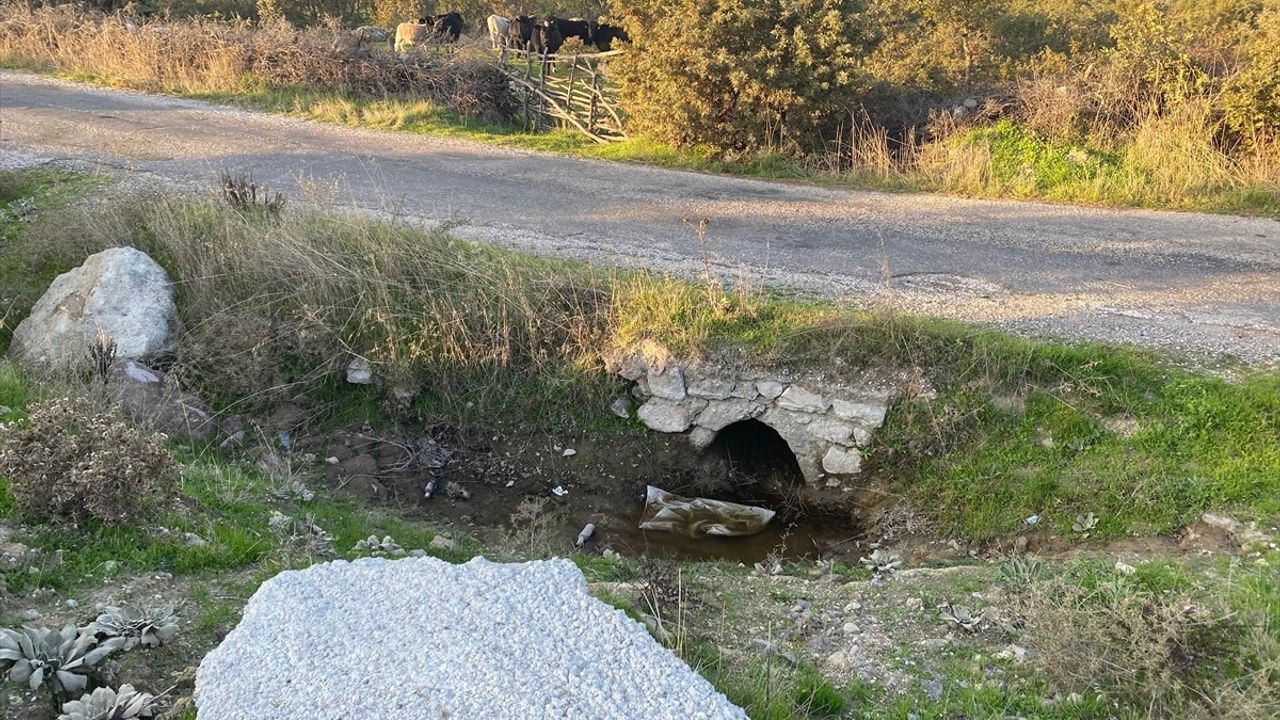 Çanakkale'de Boş Arazide Bebek Cesedi Bulundu