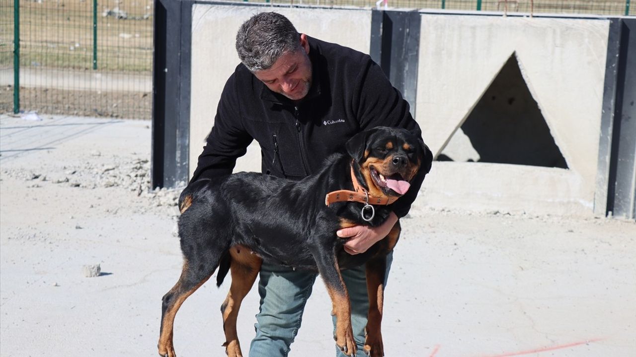 Erzincan'da Köpeklere Arama Kurtarma Eğitimi Başladı