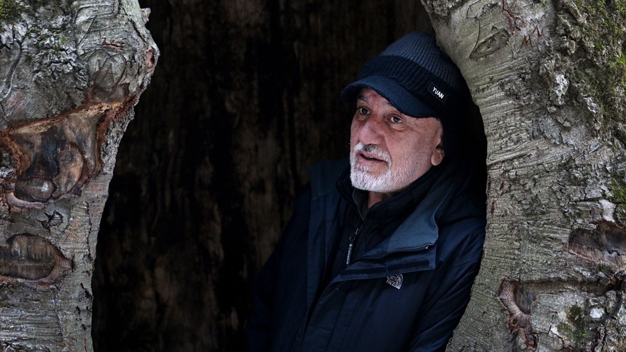 Hamsiköy'de Sonbahar Güzellikleri ve Fotoğraf Tutkunları için Bir Cennet