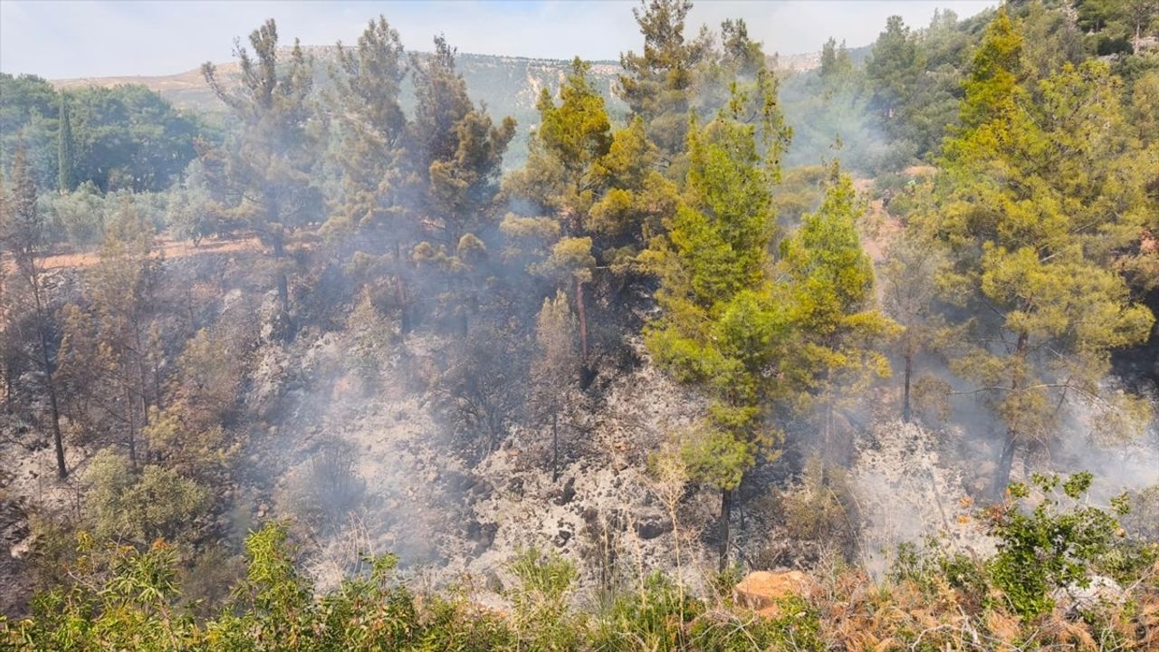 Mersin'de Bahçede Yangın: 1 Ölü