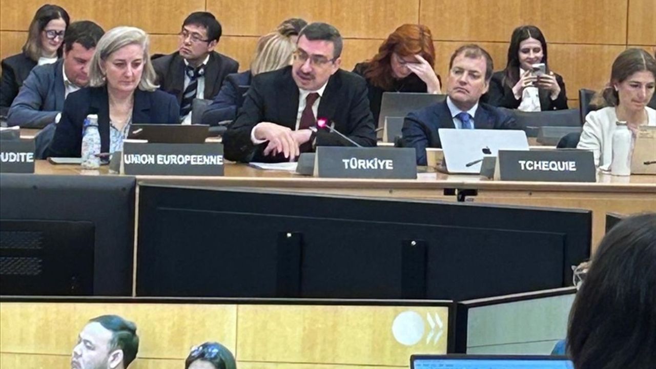 OECD Kurumsal Yönetim Komitesi 50'nci Toplantısı Paris'te Yapıldı