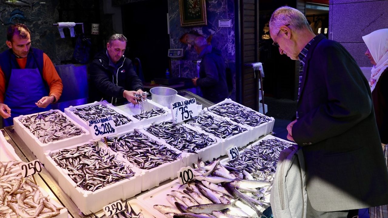 Trabzon'da Hamsi Bolluğu Devam Ediyor