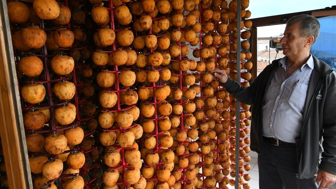 Trabzon Hurmasını Kurutarak Kazancını İki Katına Çıkardı