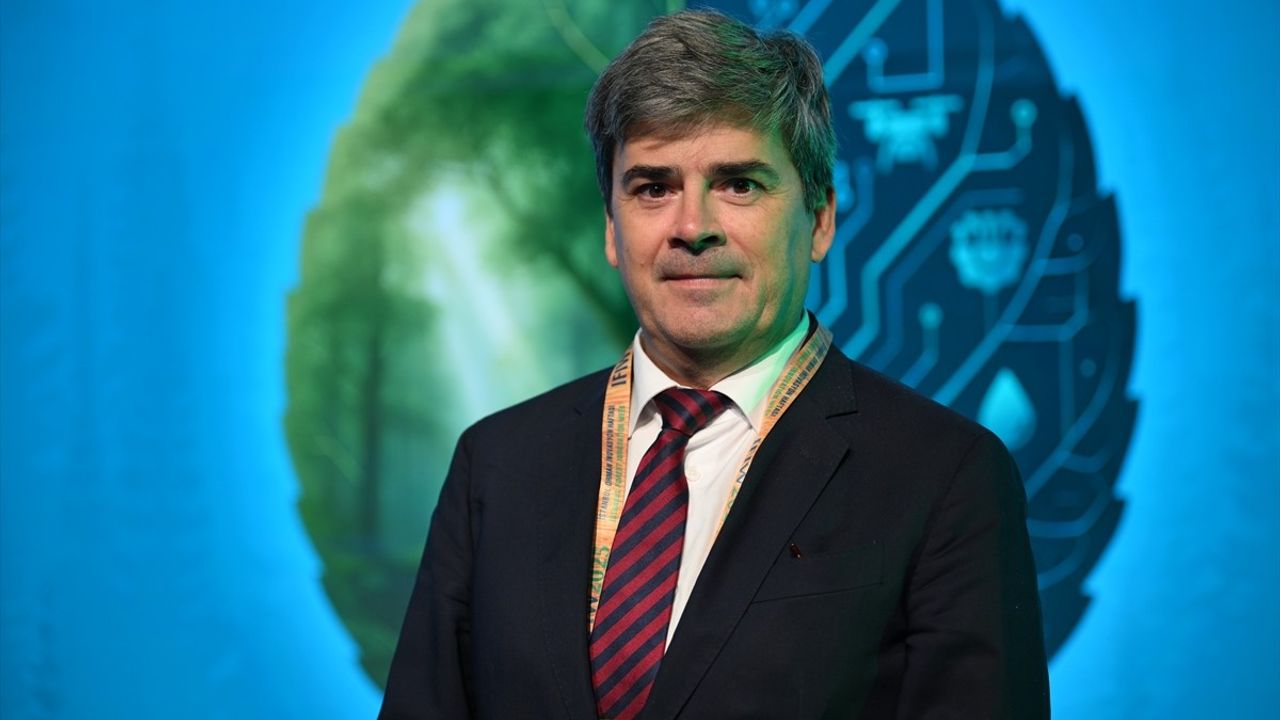 Uluslararası Uzmanlardan Türkiye'ye Orman Yangını Mücadelesinde Övgü