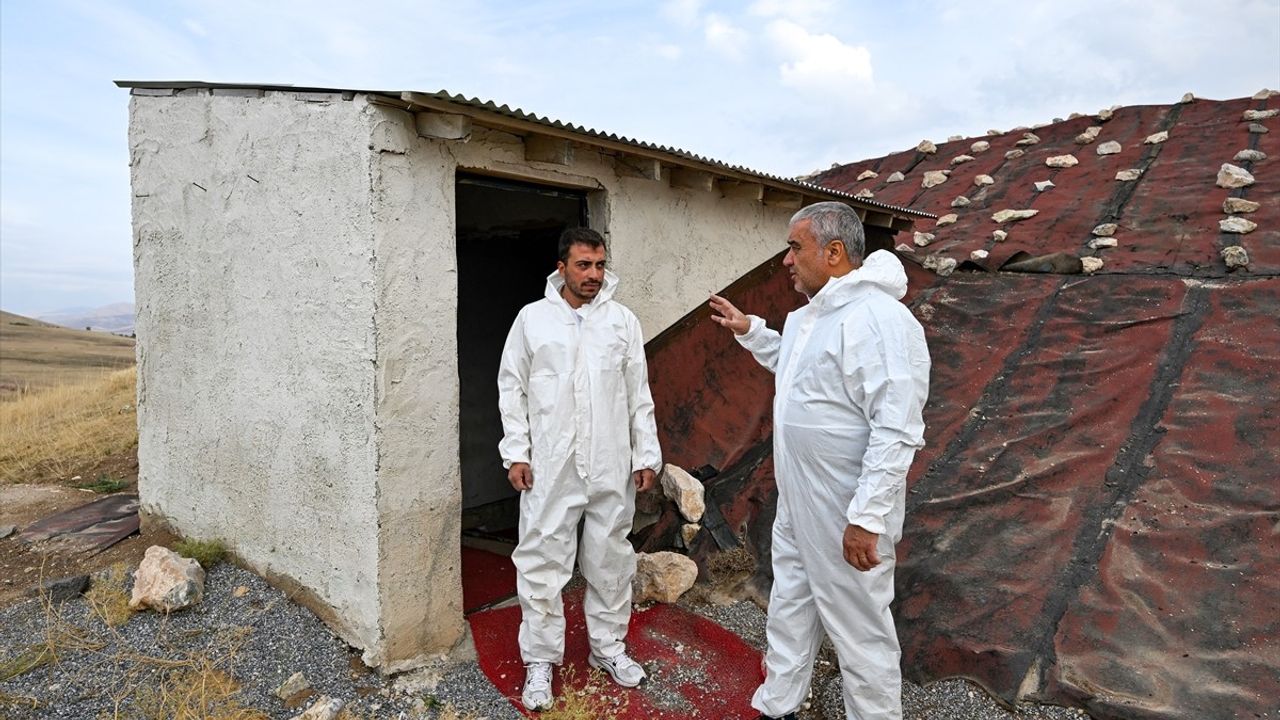 Urartu Duvar Resimlerine Özel Koruma