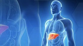 Yağlı Karaciğer Hastalığına Dikkat: Belirtileri ve Tedavi Yöntemleri