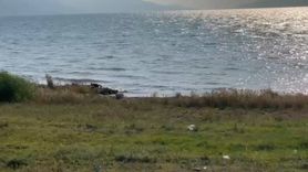 Yenişehir'de 60 Yaşındaki Bir Adam Gölette Hayatını Kaybetti