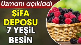 Şifa Deposu 7 Yeşil Besin