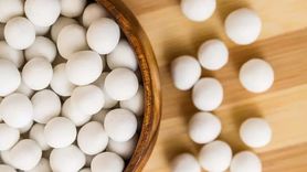 Beyaz Leblebi: Besin Değeri Yüksek Bir Kuruyemiş