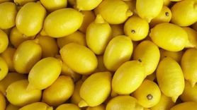 Limonun Faydaları ve Yan Etkileri