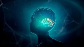 Erken Başlangıçlı Alzheimer Hastalığı ve Genetik Mutasyonlar