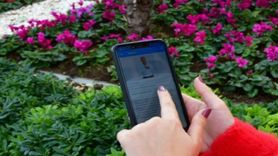 Telefondaki Bu Uygulamaları Mı Kullanıyorsunuz? Paralarınızı Çalıyorlar!