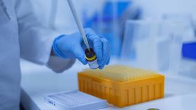 Keneye Bağlı Ölümler Artıyor: Uzmanlar Uyarıyor!