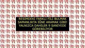 Optik İllüzyonlu Zeka Testi: Farklı Fili Bulabilir misiniz?