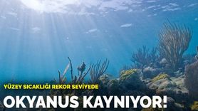 Florida'da Okyanus Sıcaklığı Rekor Seviyede