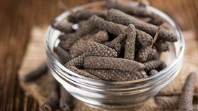 Darülfülfül Bitkisi ve Faydaları