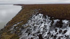 46 Bin Yıldır Toprağa Gömülüydü, Hayata Döndürüldü!